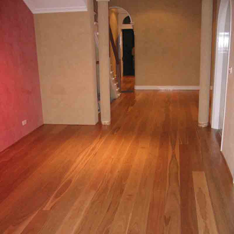 spotted gum
