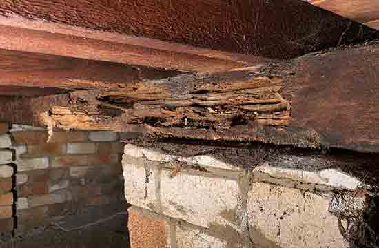 Wood damage from termite infestation